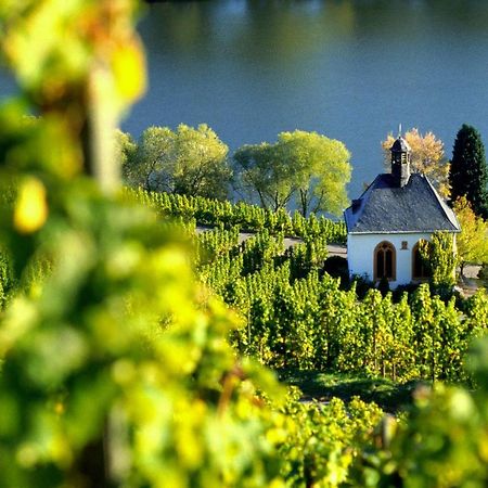 Weingut Christoffel Apartamento Kövenig Exterior foto