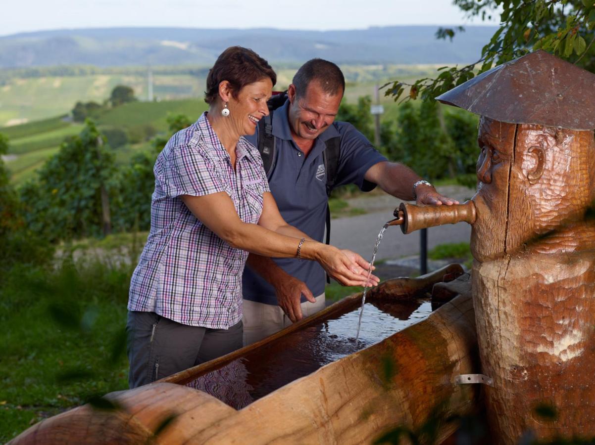 Weingut Christoffel Apartamento Kövenig Exterior foto
