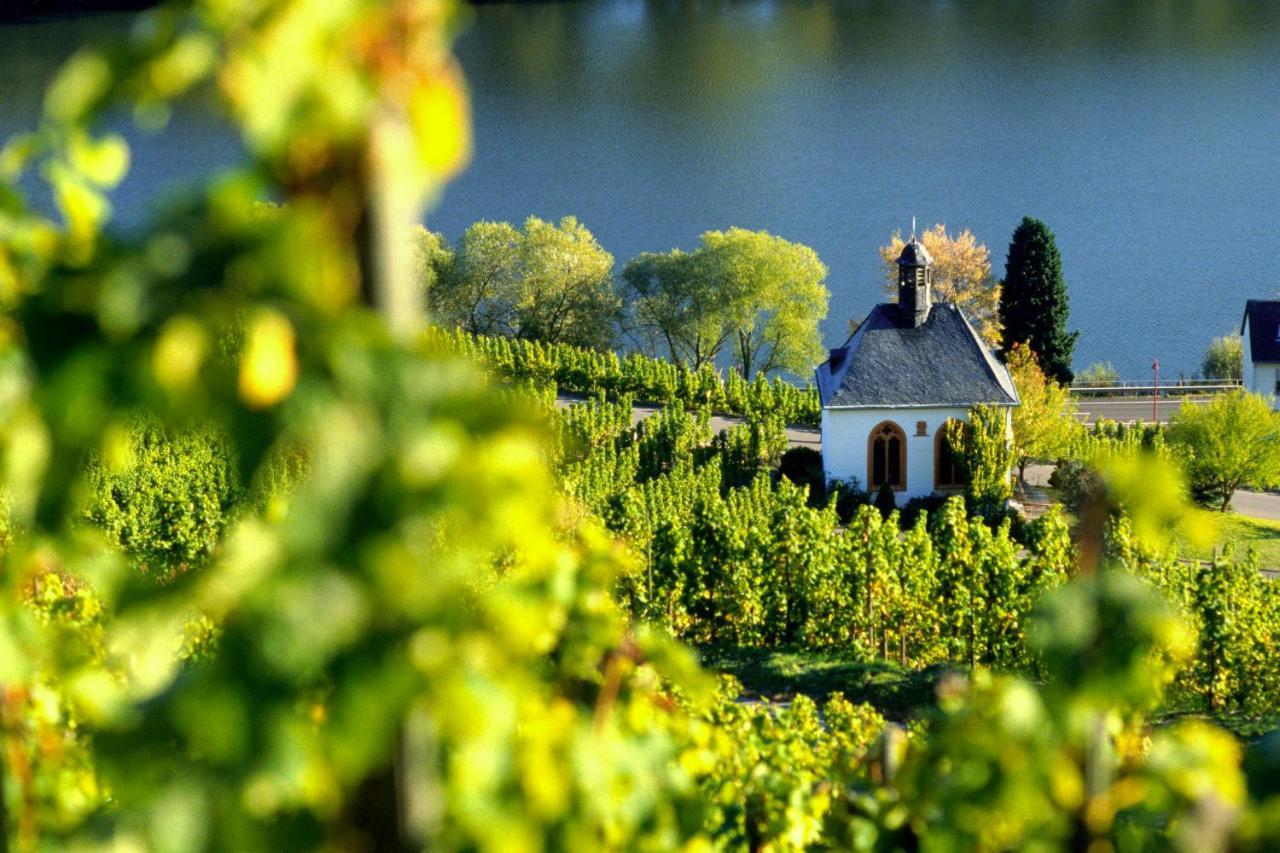 Weingut Christoffel Apartamento Kövenig Exterior foto
